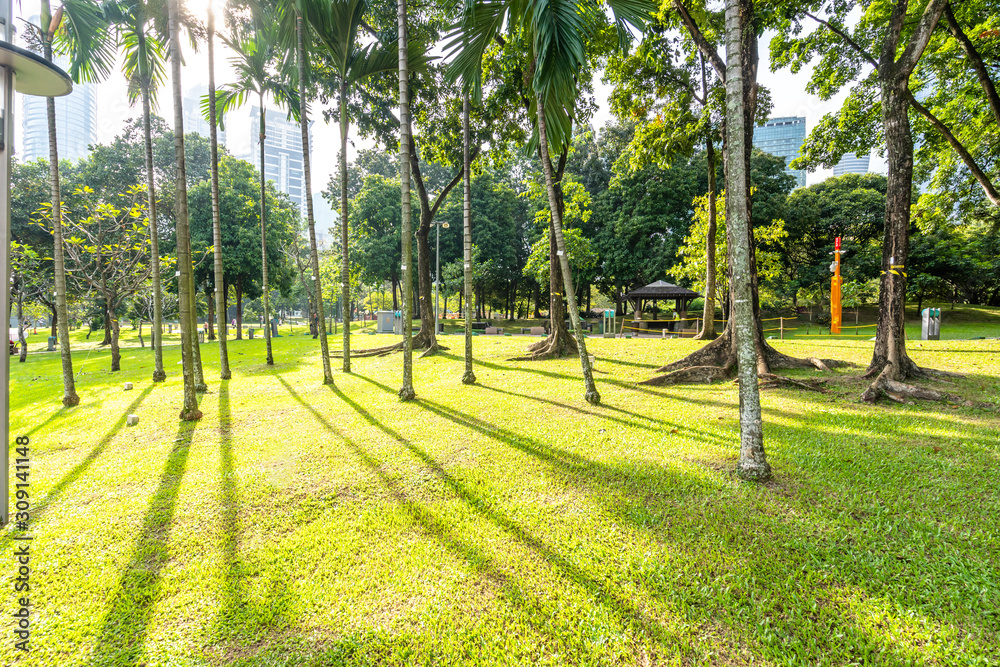 city skyline with park