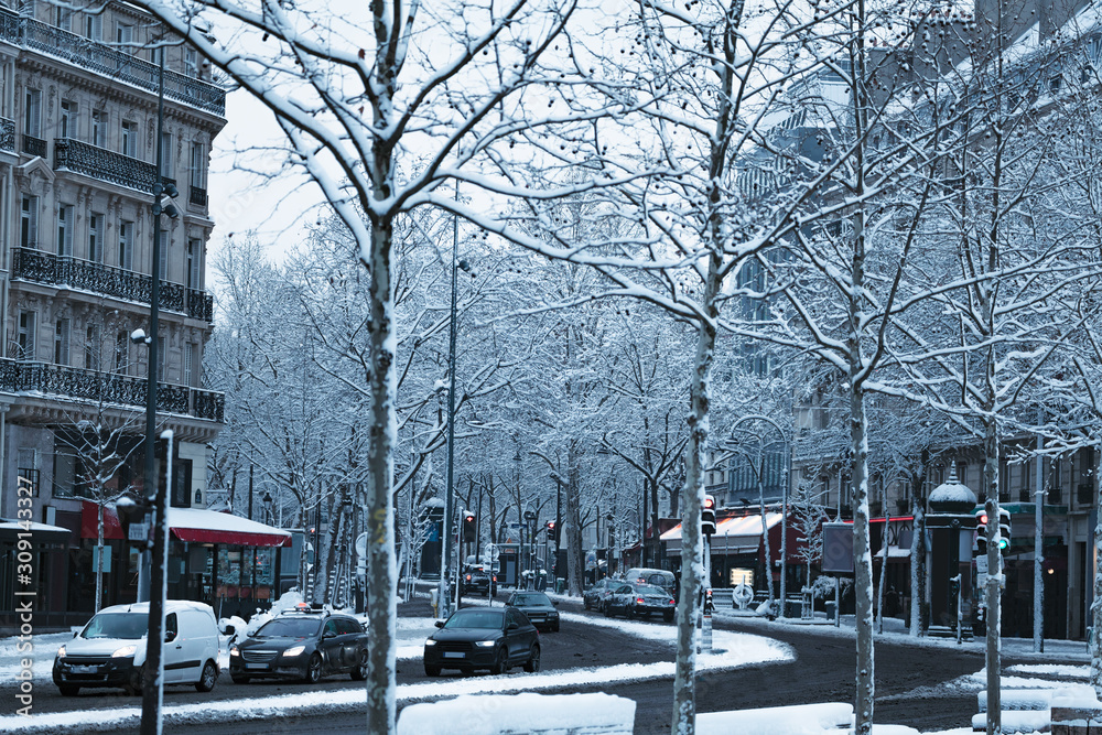 巴黎街头，树木白天被雪覆盖