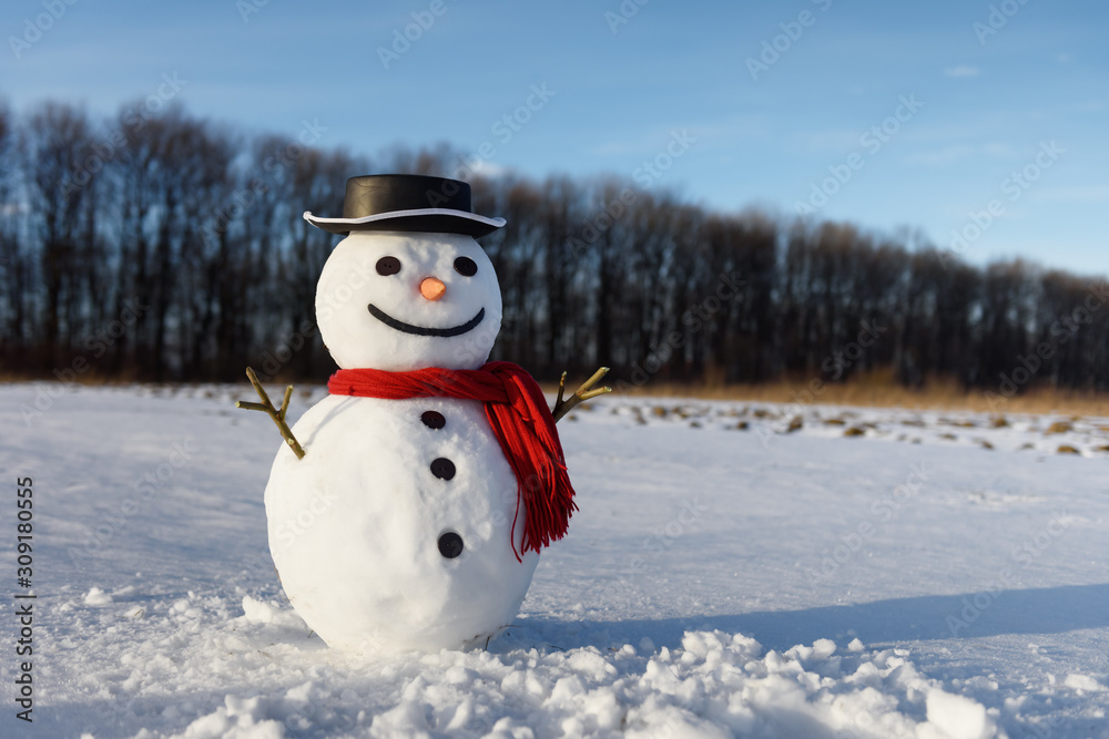 雪地上戴着时髦的黑色帽子和红色鳞片的有趣雪人。圣诞快乐，新年快乐