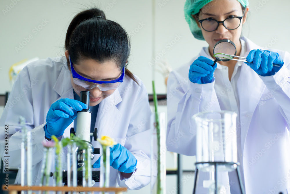  Asian scientist  working  at  laboratory research