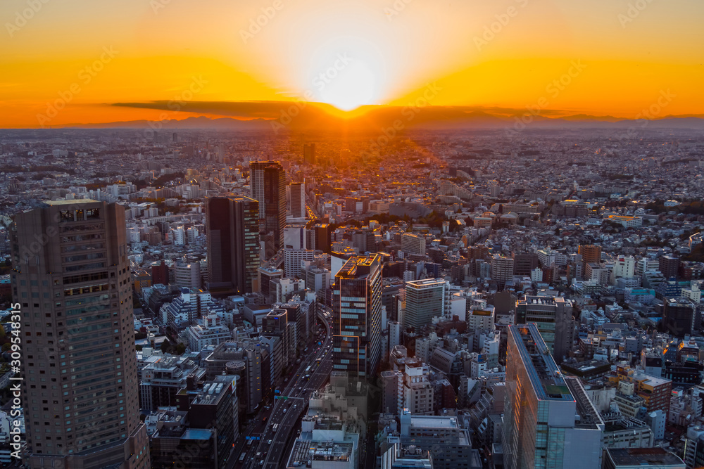 日本,東京の典型的な風景 Scenery of Japan in Tokyo 