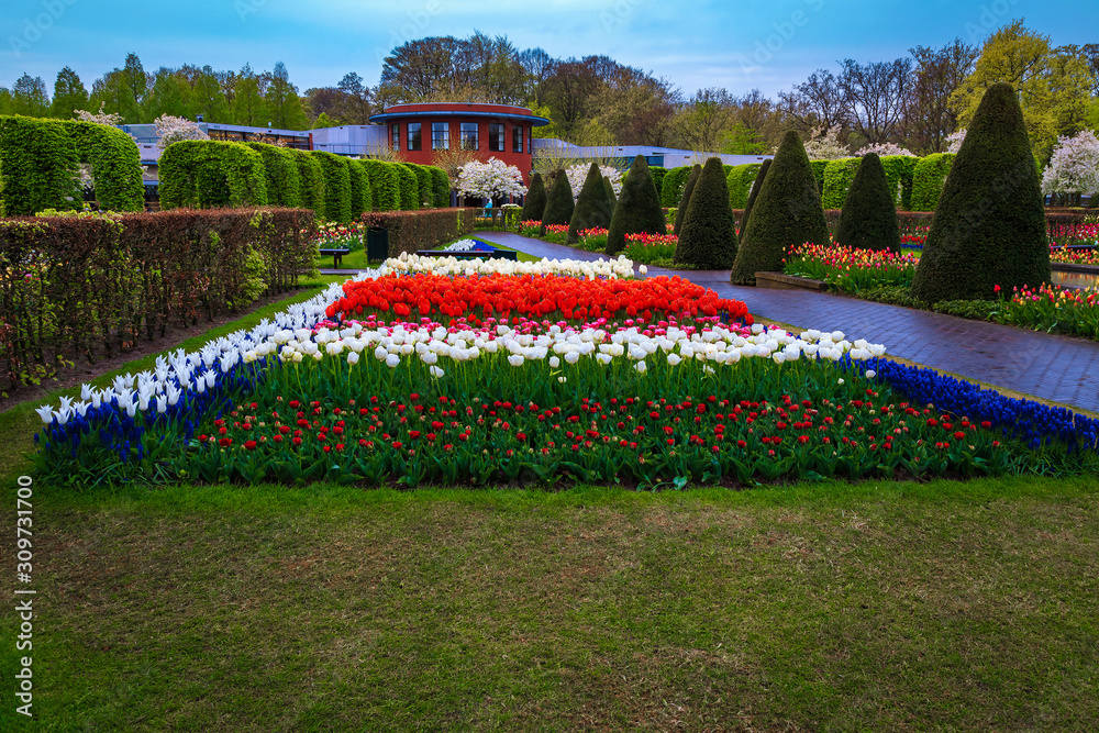 Picturesque colorful spring tulips and flowers in park, Lisse, Netherlands