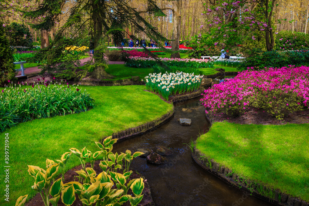 Picturesque colorful spring flowers in the ornamental park, Lisse, Netherlands