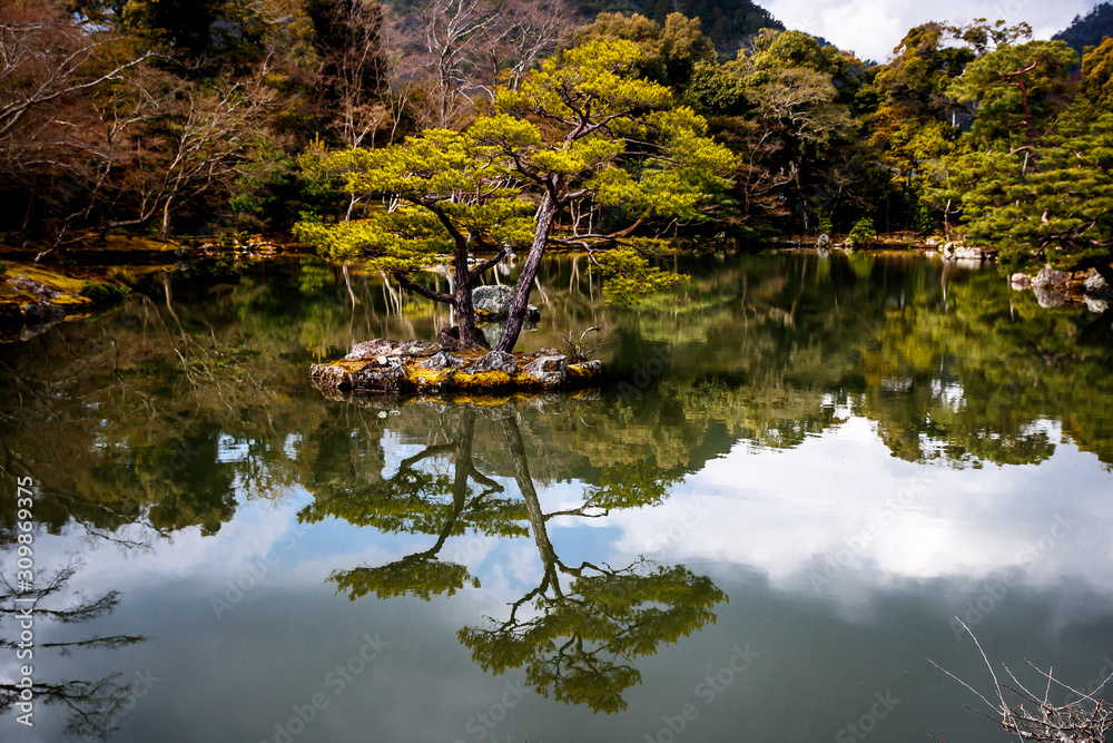 日本京都金阁附近的池塘