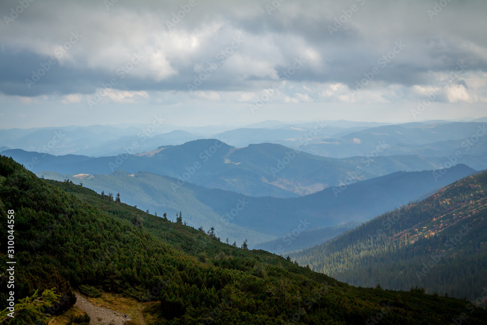 山景