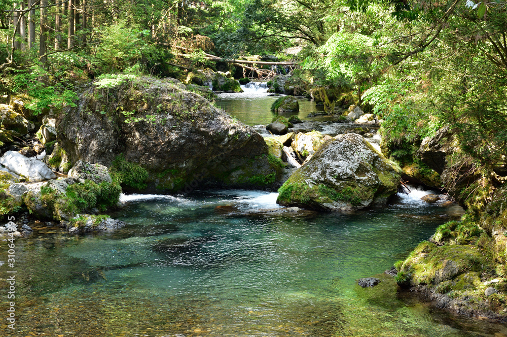 【岐阜県】円原川　渓流イメージ