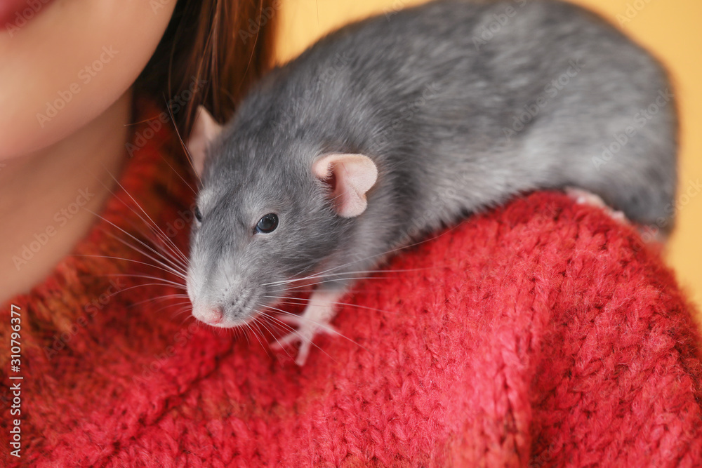 Young woman with cute rat on color background, closeup