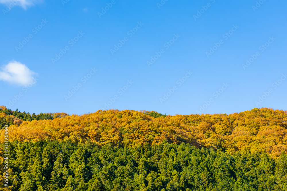 青空と美しく紅葉した山