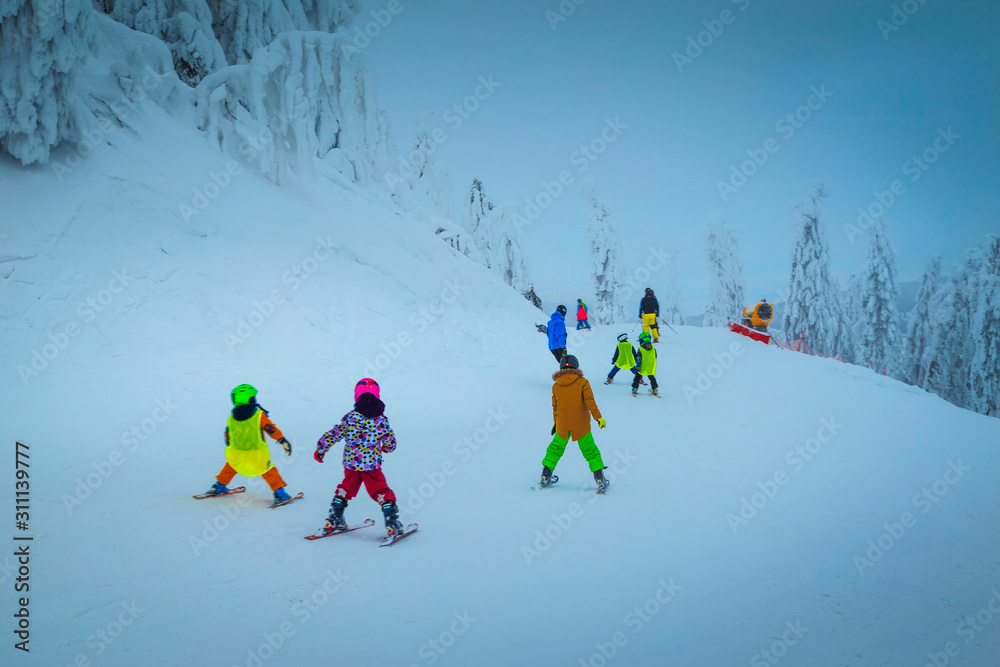 罗马尼亚特兰西瓦尼亚滑雪场，有儿童滑雪者和雪树