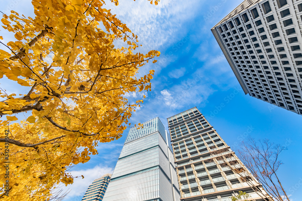 都会のビル群と紅葉した木