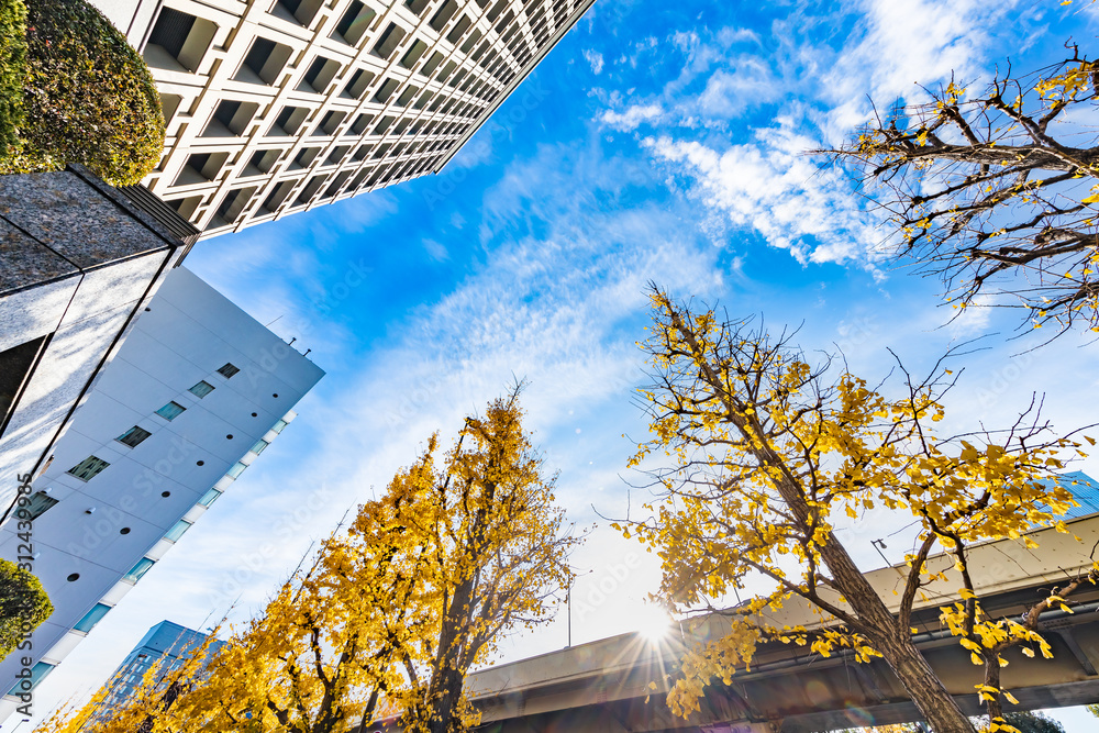 都会のビル群と紅葉した木