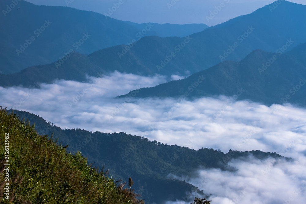 山上白雾