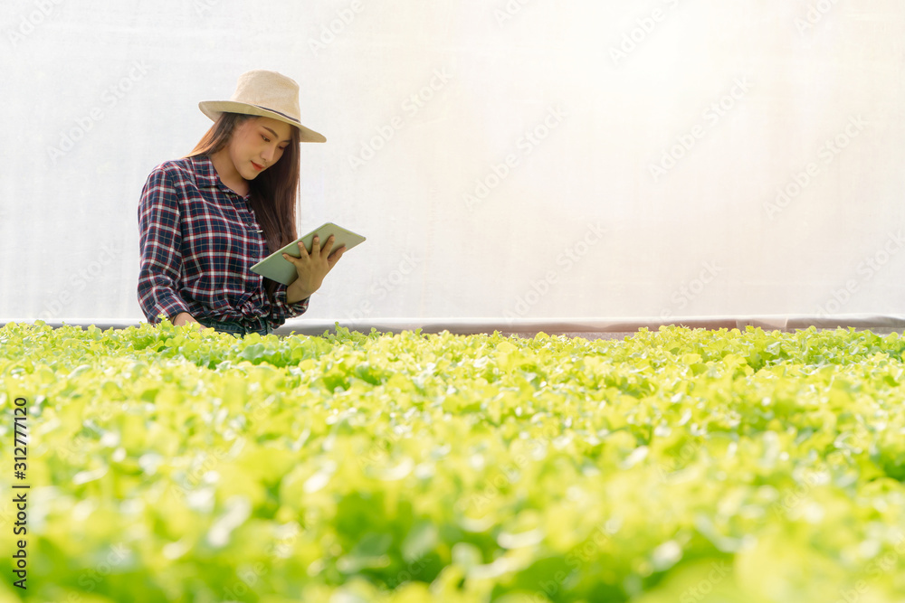 亚洲女农民检查沙拉蔬菜的生长情况，并使用药片控制水分、光照和温度