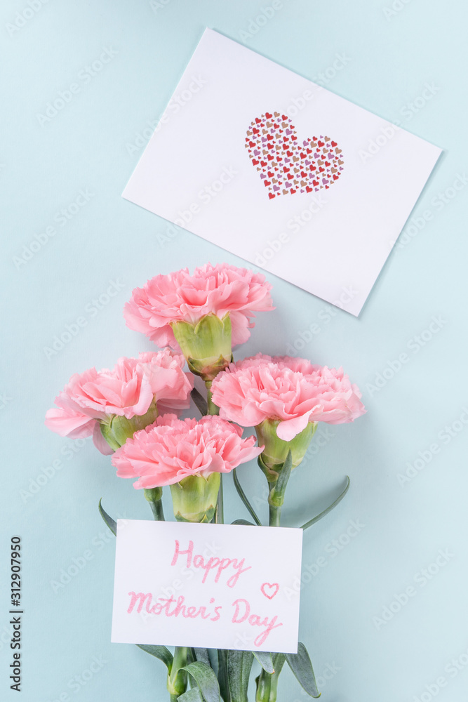 Beautiful, elegant pink carnation flower over bright light blue table background, concept of Mother