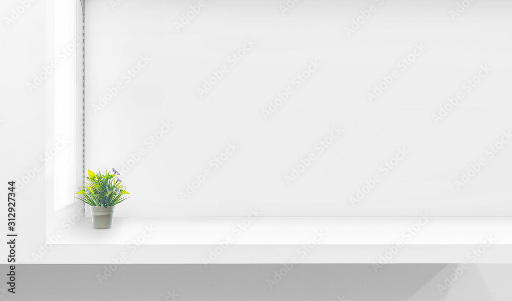 White shelf against white wall with green plant. copy space