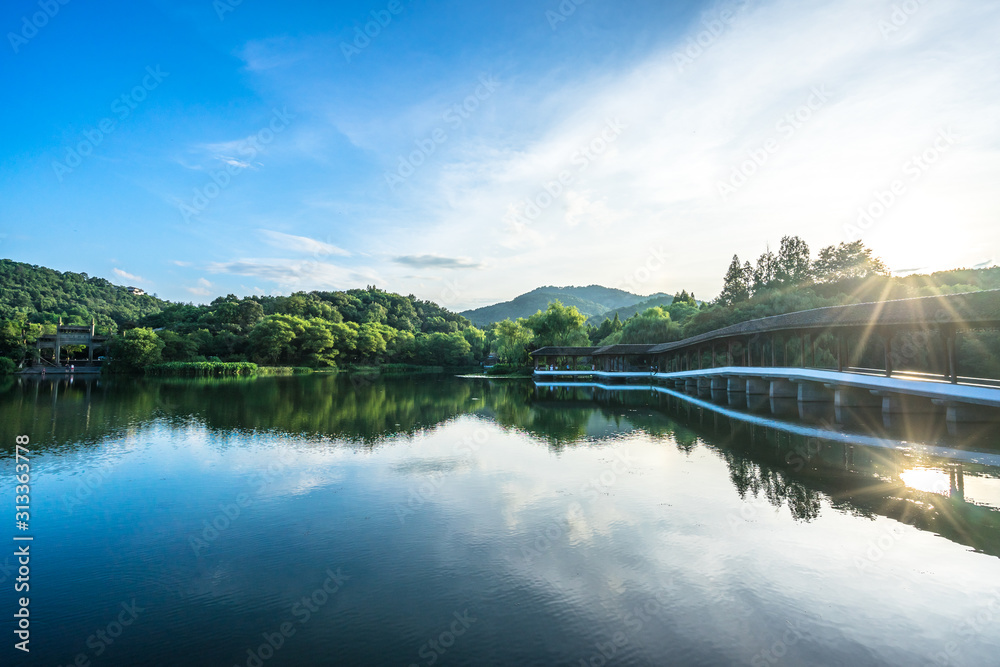 lake in forest