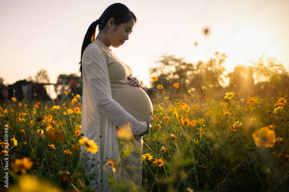 孕妇正在花园里放松。