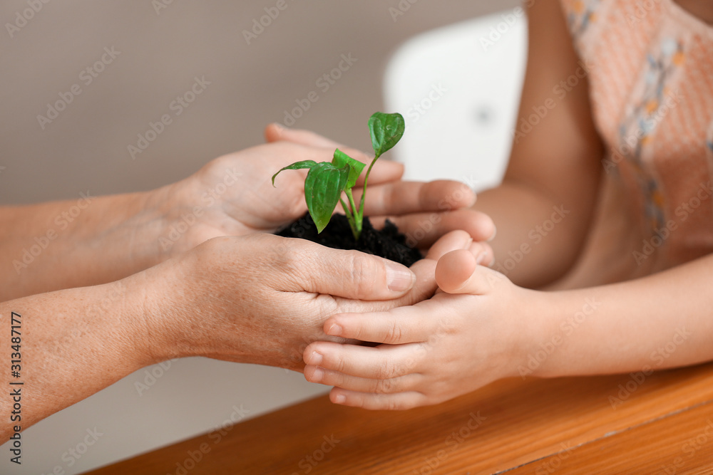 Hands of grandmother and little girl with young plant and soil, closeup