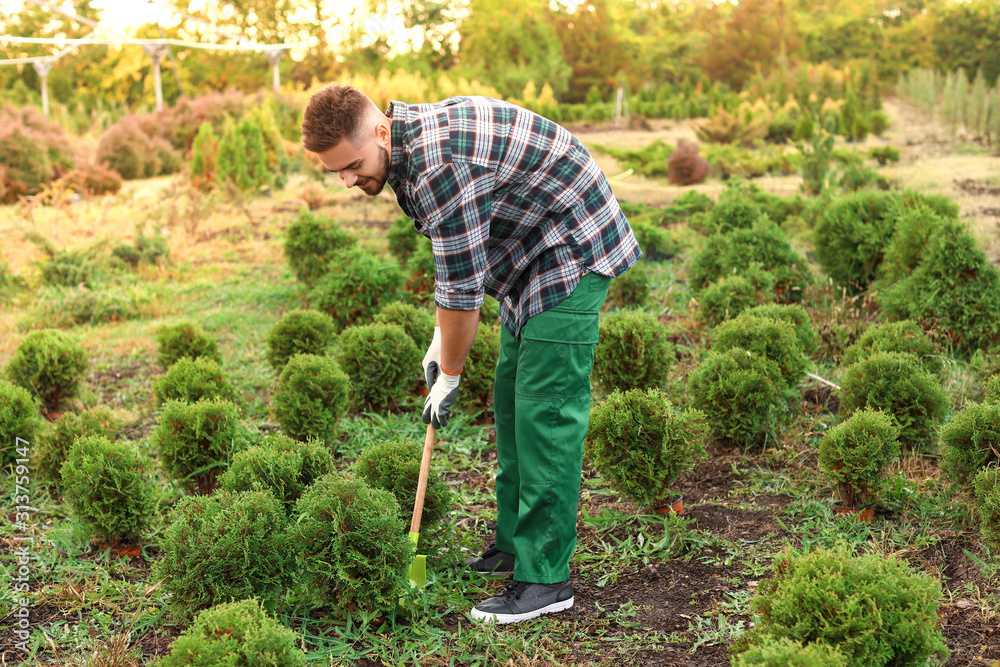 Handsome male gardener working outdoors