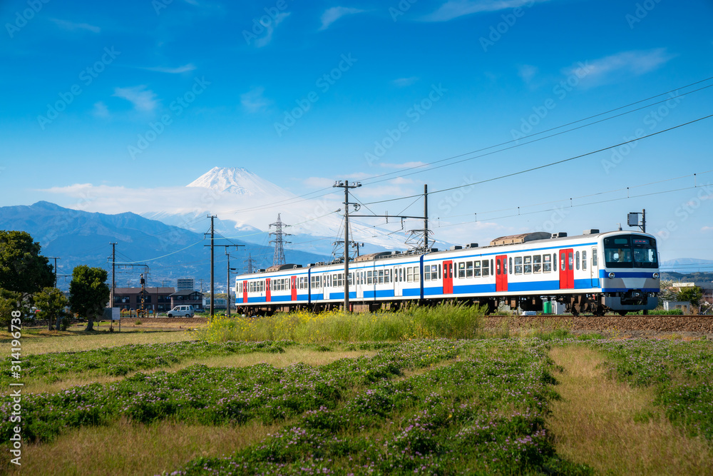 在一个阳光明媚的春天，JR Izuhakone Tetsudo Sunzu线的本地列车穿过乡村