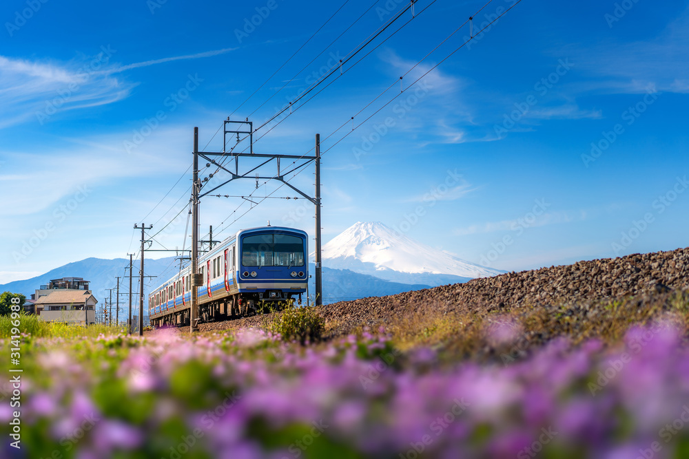 在一个阳光明媚的冬天，JR Izuhakone Tetsudo Sunzu线的本地列车穿过乡村