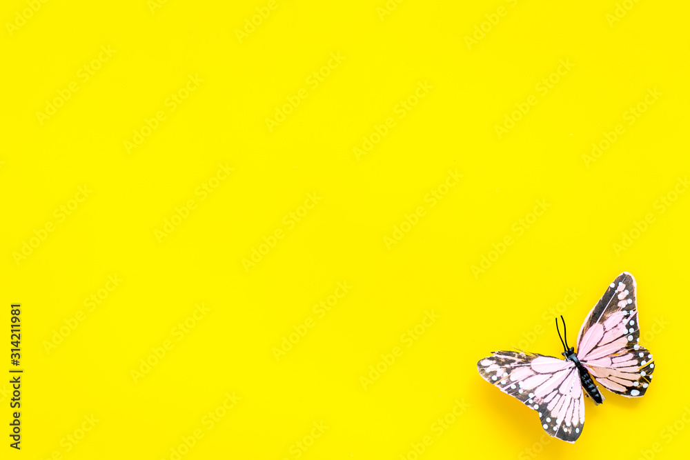 Beautiful tropical butterfly on yellow background top-down copy space