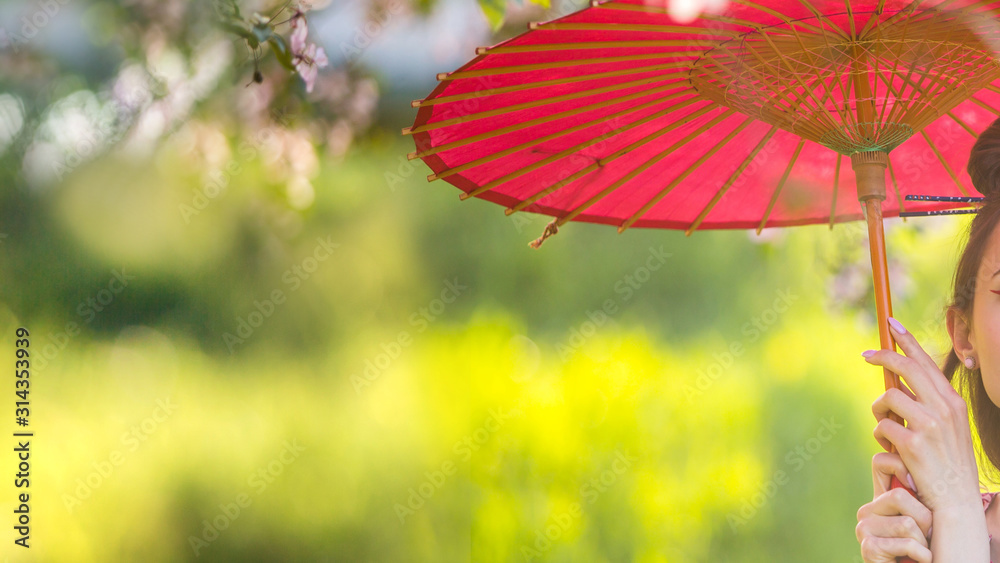 日本女人穿着和服，带着雨伞，在阳光明媚的春天盛开的花园里，复制空间