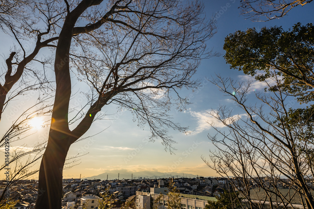 丹沢山地が見える横浜郊外の夕景