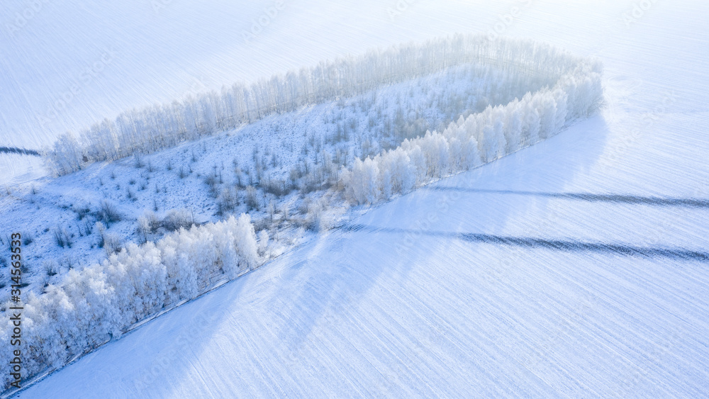 雪地里的森林地带，无人机视野