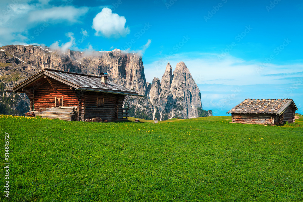 Alpe di Siusi旅游度假区，带绿地，多洛米蒂，意大利