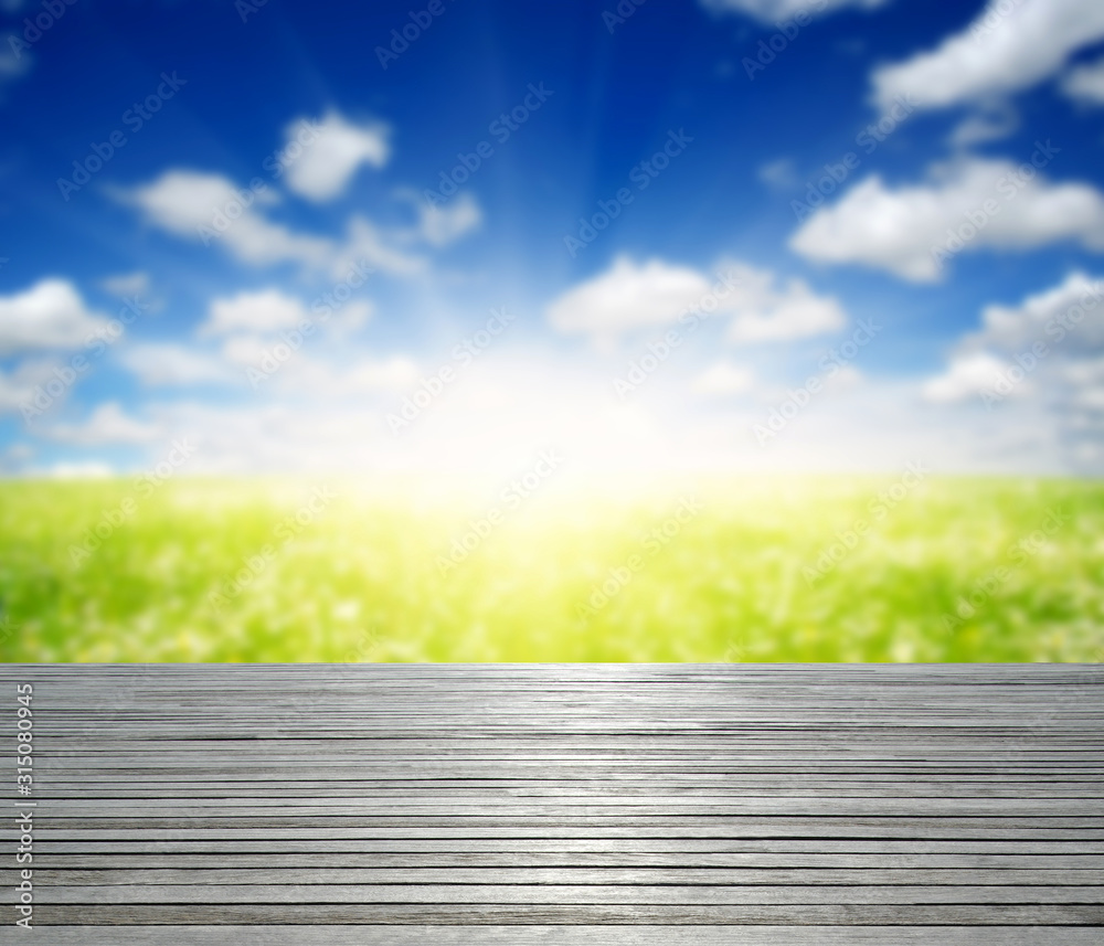  Field of daisies on and wood