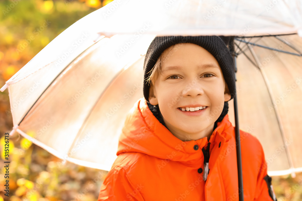 Cute little boy with umbrella in autumn park