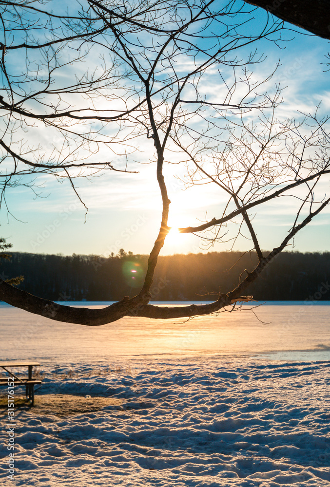 sunrise over lake with tree branch