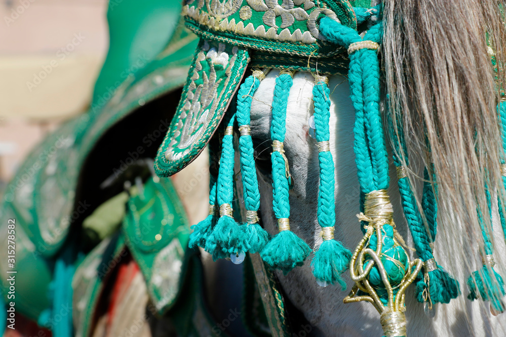 carriage horse at the médina of  Meknes -Morocco 