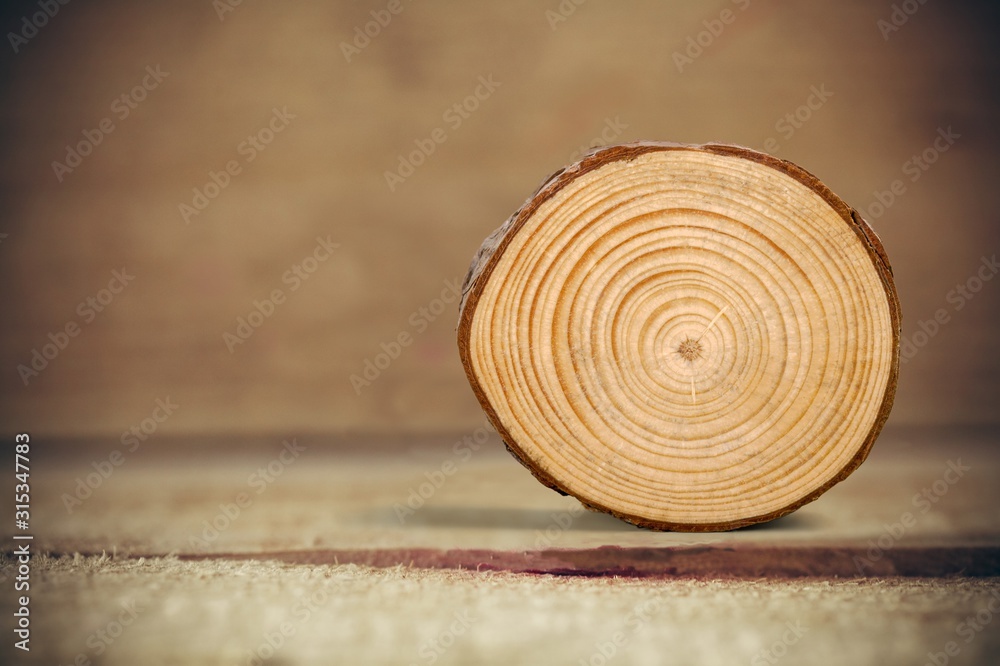 Round old wood slice on desk