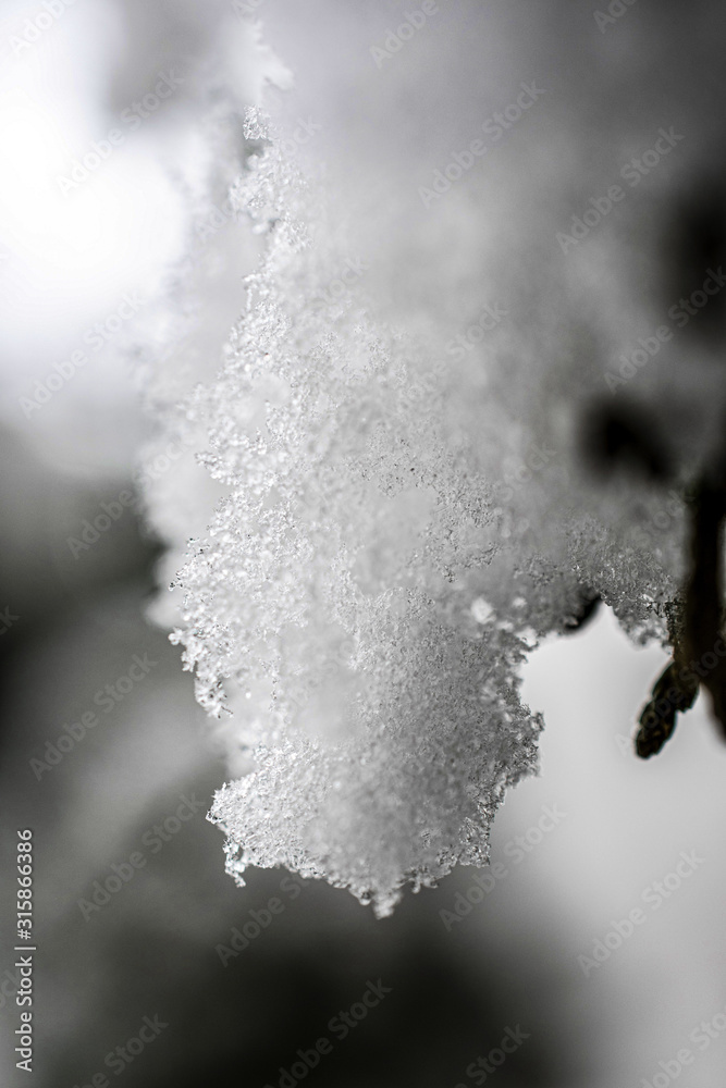 雪花像葡萄一样聚集在一起