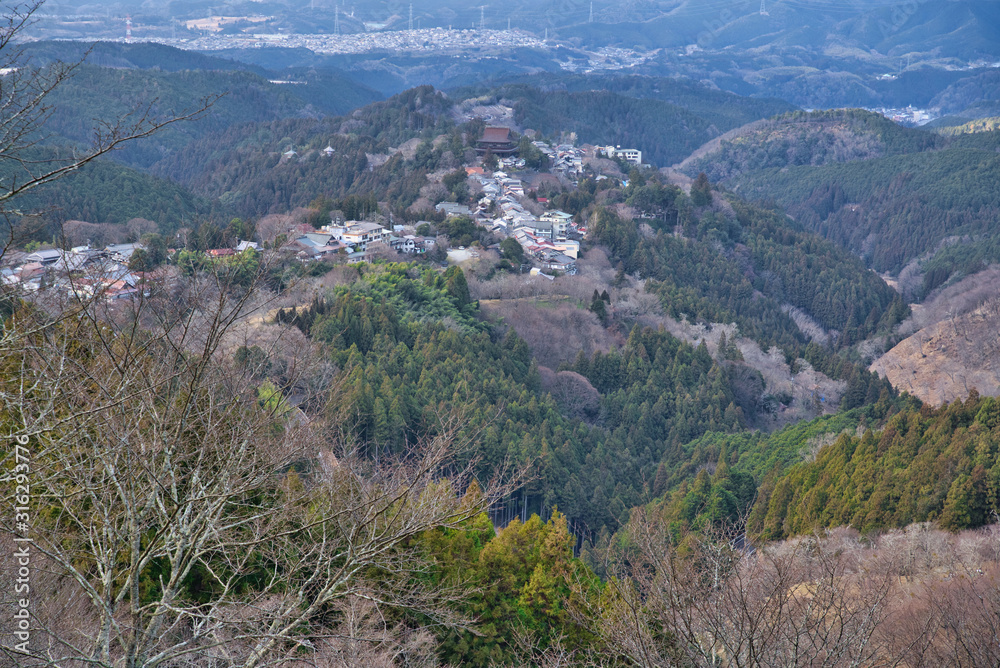 吉野山，日本奈良冬季樱花的著名景点