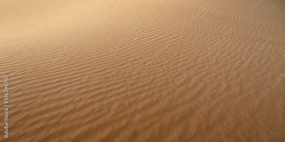 sand dune in the sahara desert 