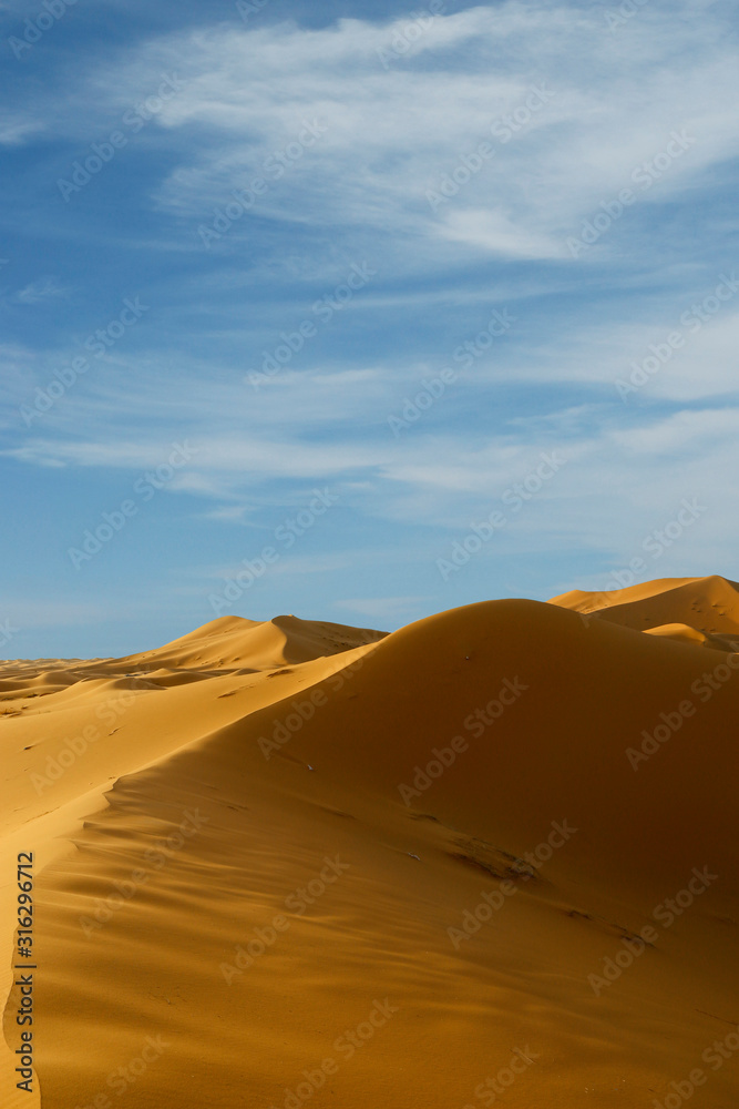 sand dune in the sahara desert 