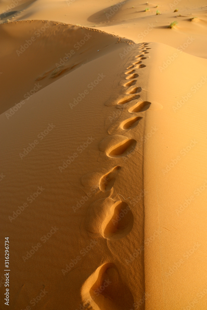 sand dune in the sahara desert 