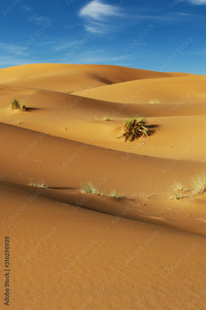 sand dune in the sahara desert 