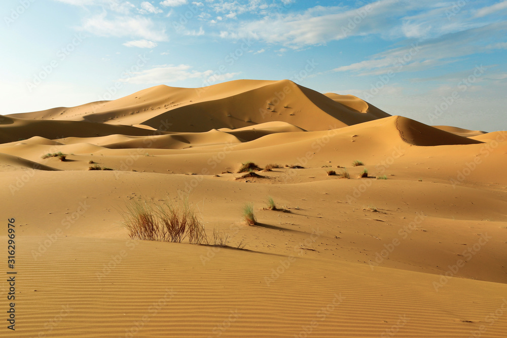 sand dune in the sahara desert 