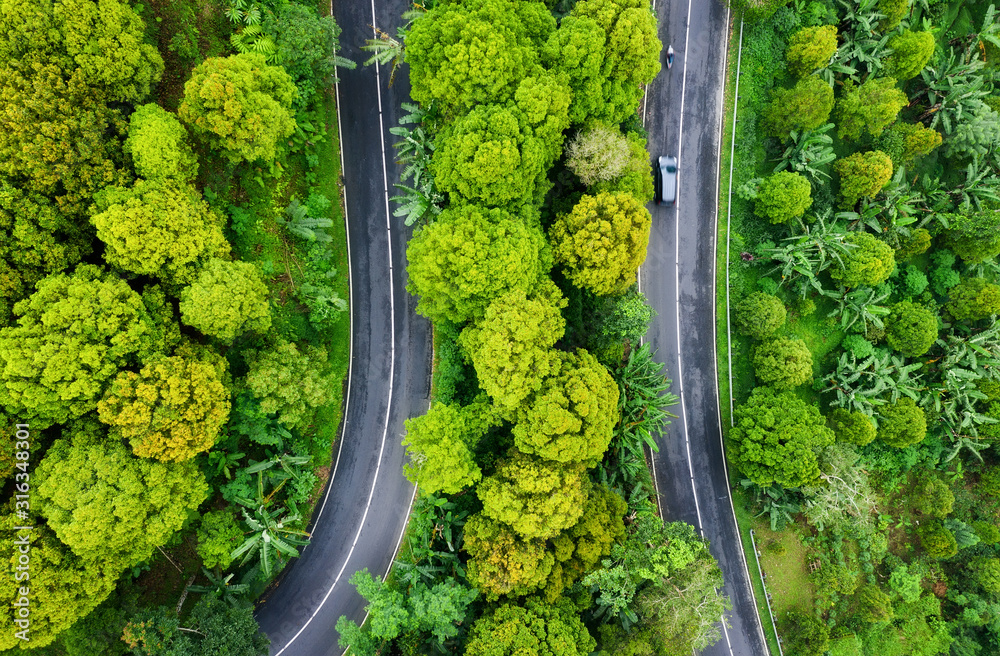 森林中道路的鸟瞰图。穿过森林的高速公路。无人机拍摄。自然景观