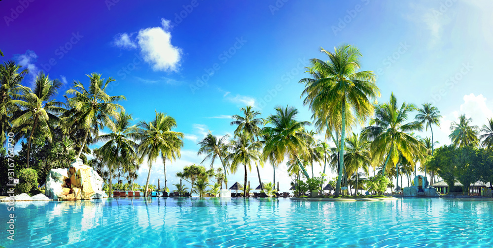 Beautiful lush tropical palm trees against blue sky with white clouds are reflected in turquoise tex