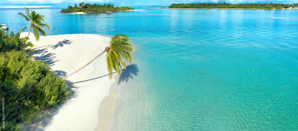 Beautiful white sandy beach with turquoise ocean water, waves, green palm trees bent over water, Aer