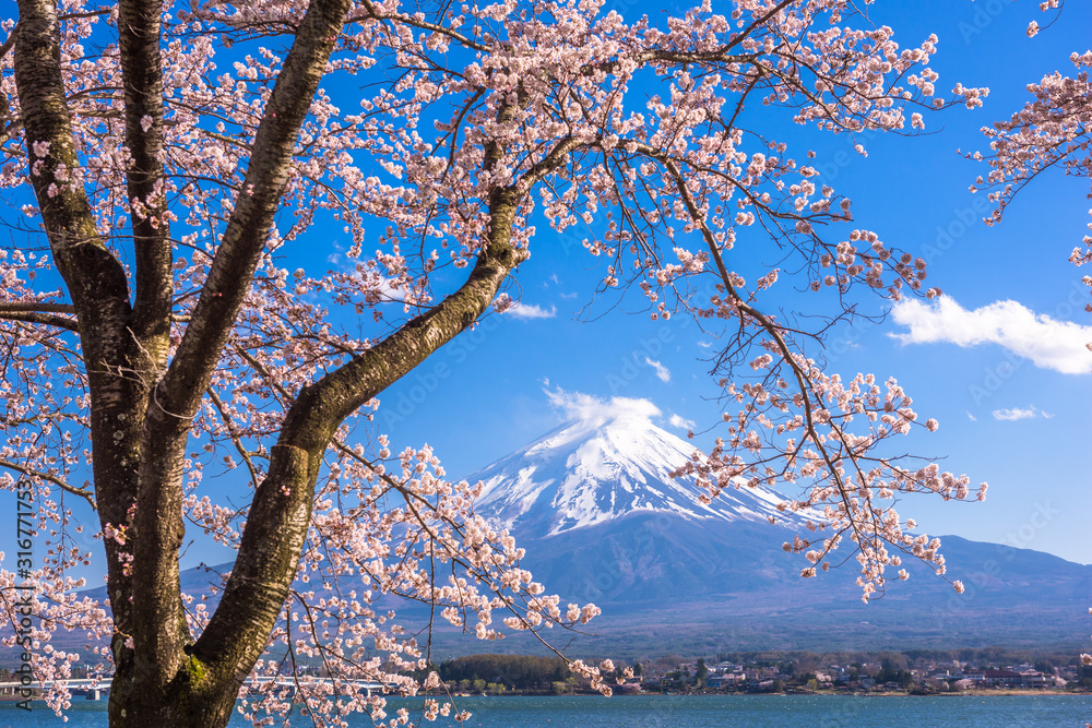 日本富士山河口湖