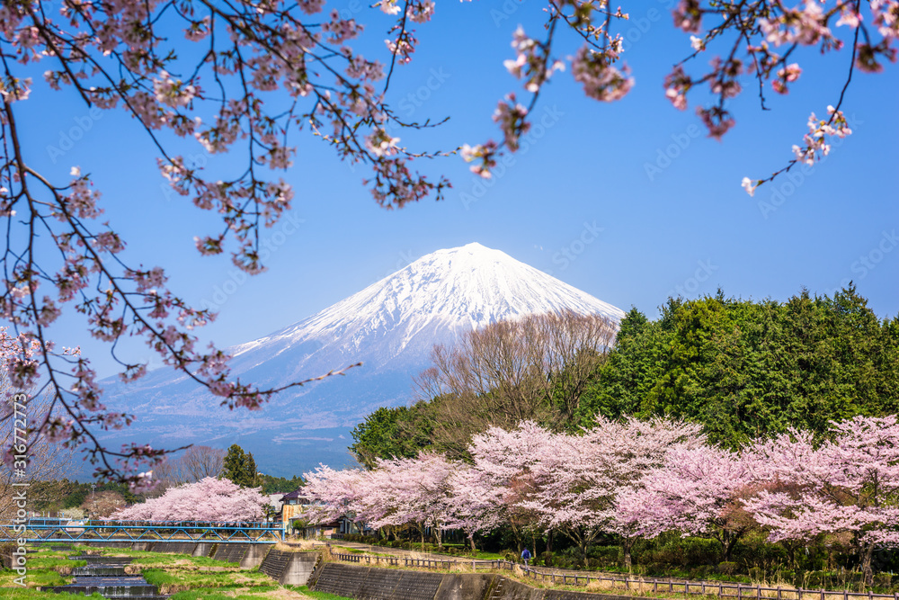 从静冈县农村看富士山