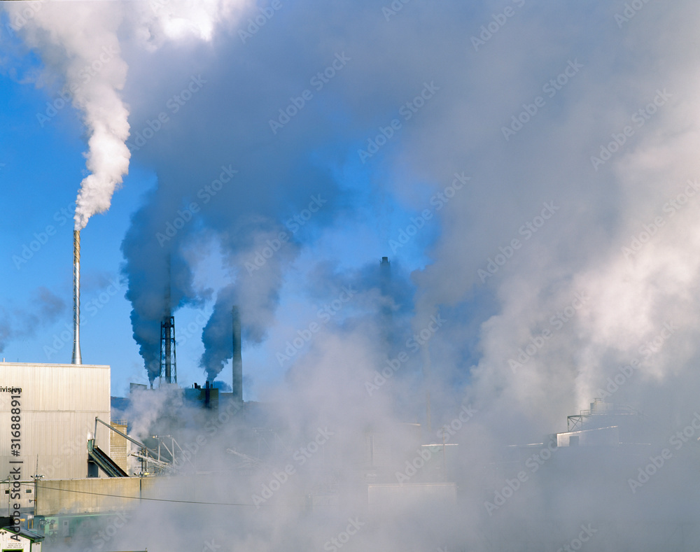 Smoke emerging from paper plant