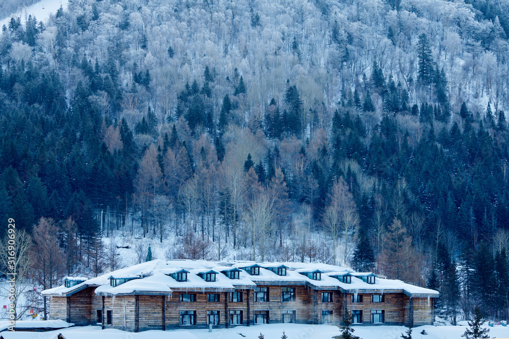 中国雪乡美丽的雪景。