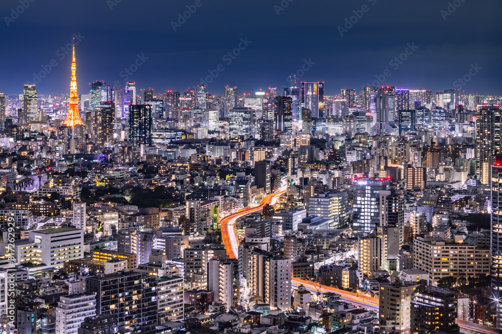 光が溢れる東京の夜景